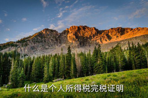 個(gè)人所得稅完稅是什么，招聘時(shí)說的稅后這個(gè)稅是指的什么