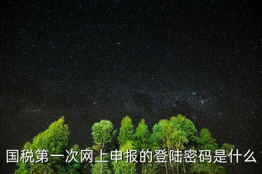 國稅登陸名和密碼是什么，國稅第一次網(wǎng)上申報的登陸密碼是什么