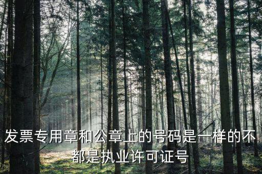 公章和發(fā)票章號碼是什么，發(fā)票專用章和公章上的號碼是一樣的不都是執(zhí)業(yè)許可證號