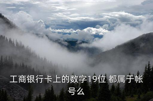 工行19位賬號(hào)應(yīng)用號(hào)是什么，請(qǐng)解釋工商銀行19位帳號(hào)的組成含義