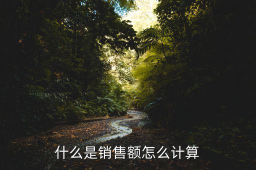精礦銷售額為什么折算，什么是銷售額怎么計(jì)算