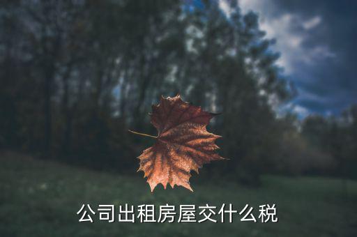 交房屋出租稅要用什么，租金要繳些什么稅