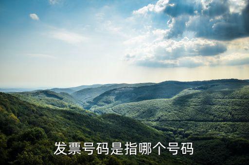 什么是發(fā)票的查詢號(hào)，發(fā)票號(hào)碼是指哪個(gè)號(hào)碼