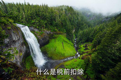 什么叫做稅前扣除，什么是稅前扣除