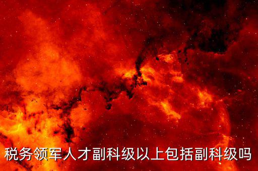 國稅領軍人才考什么用，稅務領軍人才副科級以上包括副科級嗎