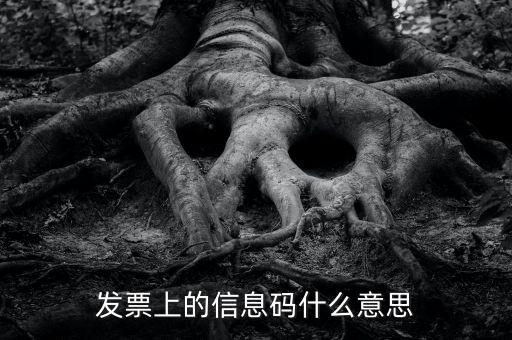 發(fā)票的查詢(xún)碼是什么意思啊，發(fā)票上的信息碼什么意思