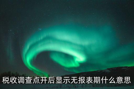 稅收調(diào)查什么意思，登錄用戶無(wú)權(quán)訪問(wèn)任務(wù)2015年度全國(guó)稅收調(diào)查是什么意思