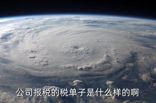 稅務清單是什么樣的，公司報稅的稅單子是什么樣的啊