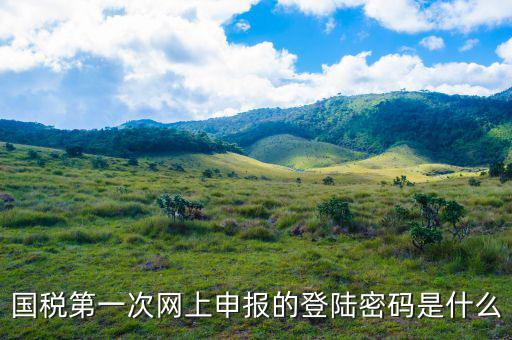 浙江國稅登入密碼是什么意思，稅務局網(wǎng)站的登入賬戶初始密碼是什么