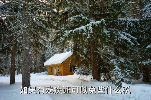 殘疾人可以免征什么稅，如果有殘疾證可以免些什么稅