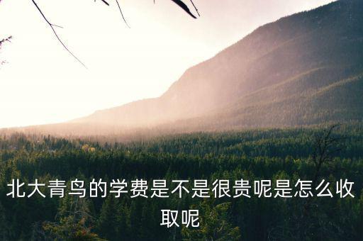國稅局安靜工程是什么，北大青鳥的學(xué)費是不是很貴呢是怎么收取呢