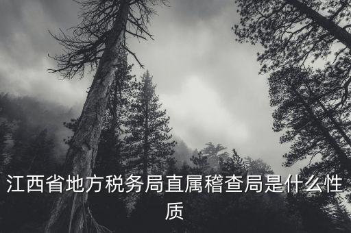 江西省地方稅務局直屬稽查局是什么性質(zhì)