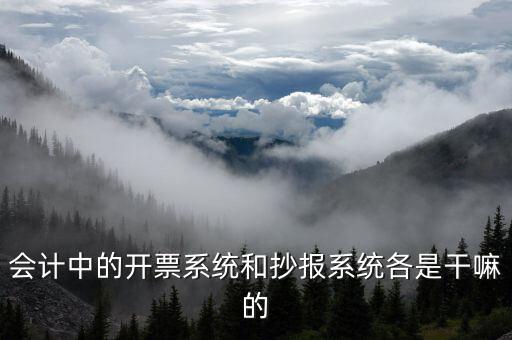 報(bào)稅開(kāi)票系統(tǒng)是什么意思，每個(gè)月一號(hào)重登金稅盤(pán)開(kāi)票系統(tǒng)是什么意思