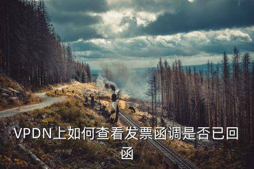 發(fā)票為什么會被復函，VPDN上如何查看發(fā)票函調(diào)是否已回函