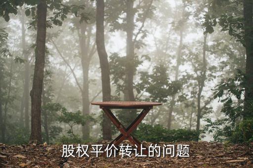什么是股權(quán)平價(jià)轉(zhuǎn)讓，股權(quán)平價(jià)轉(zhuǎn)讓的問題