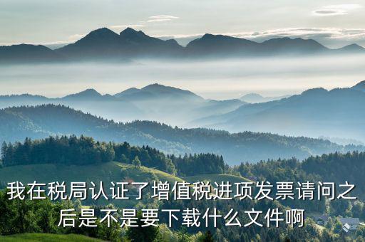 增值稅需要什么軟件下載，增值稅一般納稅人要用哪種管家婆財務軟件