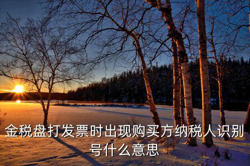 發(fā)票的付款方識(shí)別號(hào)是什么意思，開票方識(shí)別號(hào)是什么意思