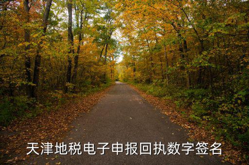 天津地稅自查表是什么，天津地稅電子申報回執(zhí)數(shù)字簽名