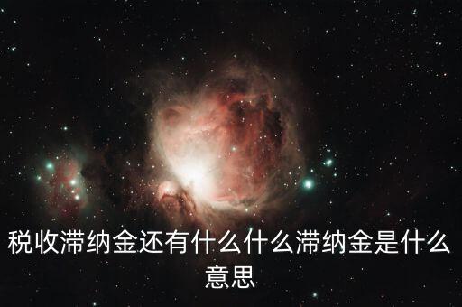地稅滯納金是什么意思，稅收滯納金還有什么什么滯納金是什么意思