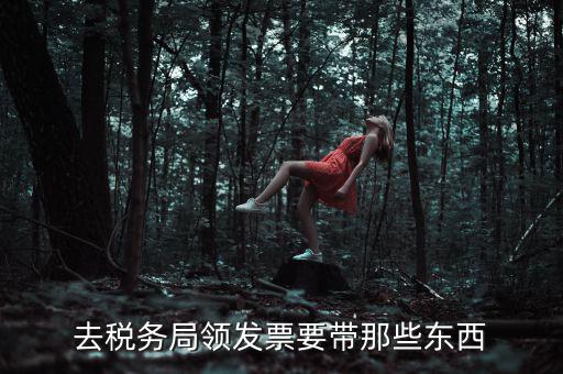 國稅領取發(fā)票需要帶什么，去國稅局領發(fā)票要帶什么