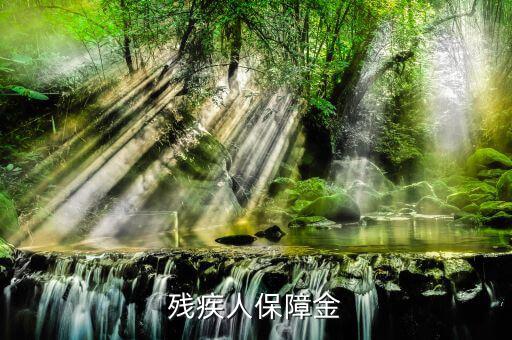殘疾人保證金是什么，殘疾人保障金