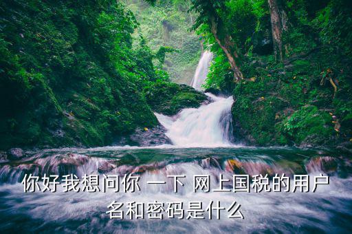 浙江國稅登陸密碼是什么，稅務(wù)局網(wǎng)站的登入賬戶初始密碼是什么