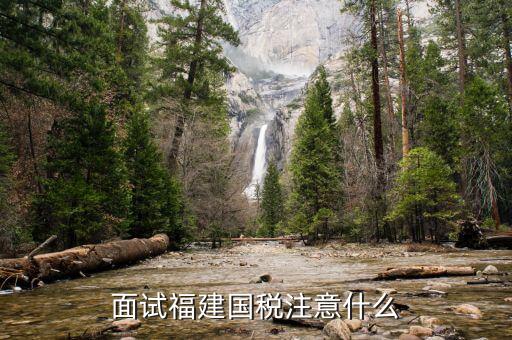 國稅局面試注意什么，大哥我考的是國稅局馬上去面試有什么好的意見和建議請不吝賜