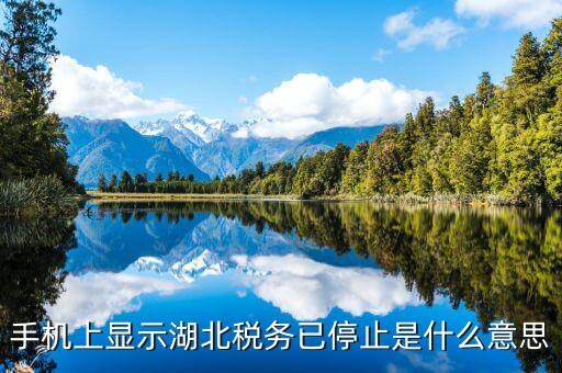國(guó)稅業(yè)務(wù)停用什么意思，手機(jī)上顯示湖北稅務(wù)已停止是什么意思