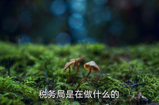 稅務(wù)總局是做什么的，稅務(wù)局是在做什么的