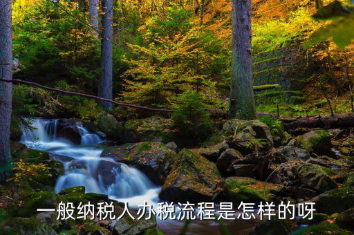 什么是正常辦稅，一般納稅人辦稅流程是怎樣的呀