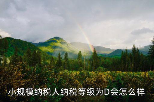 納稅等級d級有什么影響，納稅信用d級 對股權關聯(lián)法人不同的總子公司有影響嗎