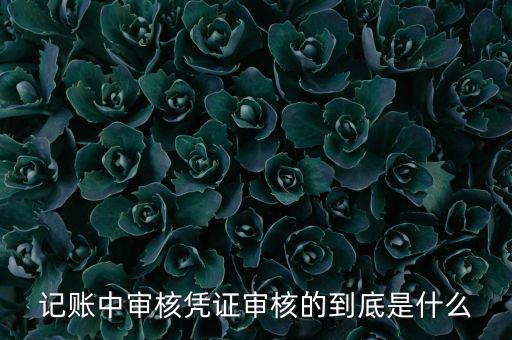 什么是抵扣憑證審核，記賬中審核憑證審核的到底是什么