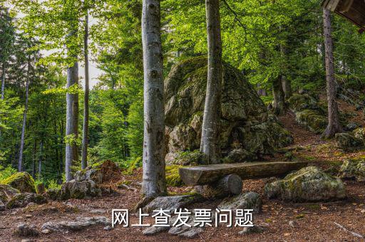 查發(fā)票流向什么意思，網(wǎng)上查發(fā)票問題