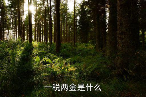 一稅兩費什么意思，年度企業(yè)兩費是什么