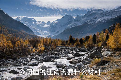 公司注銷國稅需要什么資料，公司國稅注銷需要什么材料