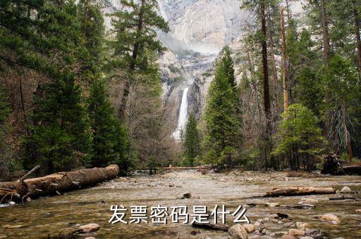 發(fā)票系統(tǒng)的密碼是什么樣的，國稅局發(fā)票軟件里用戶代碼和密碼是什么