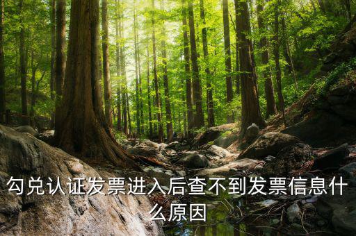 發(fā)票查詢?yōu)槭裁床椴坏叫畔?，發(fā)票開了稅務局上查不到信息是怎么回事