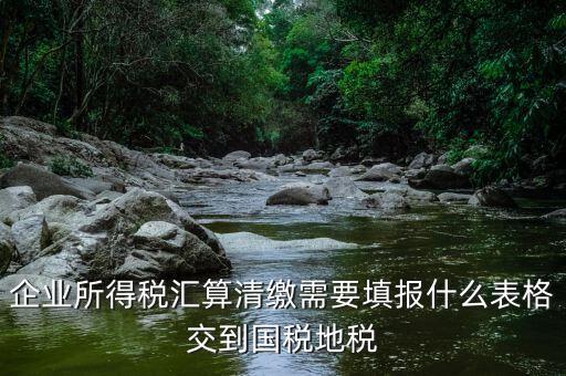 匯算清繳填寫什么表格，請教關(guān)于企業(yè)所得稅匯算清繳中需要填寫的表格的一些問題