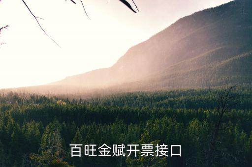 百旺金賦開(kāi)票碼是什么，百旺金賦現(xiàn)在開(kāi)票是不是所有的發(fā)票都帶二維碼