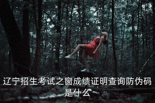 成績證明查詢的防偽碼是什么，遼寧成人高考成績查詢的防偽碼是多少