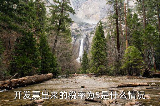 什么發(fā)票上稅5，買新房發(fā)票口5個點的稅是什么稅
