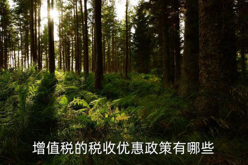 增值稅有什么減稅政策，增值稅的稅收優(yōu)惠政策有哪些
