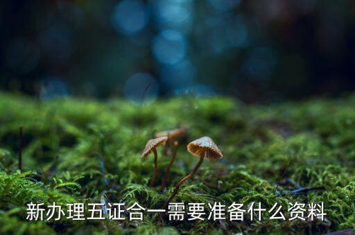 稅務(wù)五證合一需要什么資料，五證合一后稅務(wù)變更需要什么資料