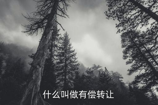 有償轉(zhuǎn)移安置什么意思，有償轉(zhuǎn)發(fā)什么意思