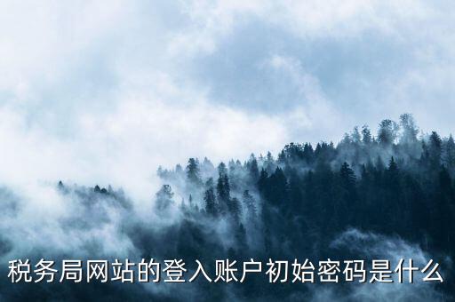 國稅網(wǎng)上登陸密碼是什么，稅務(wù)局網(wǎng)站的登入賬戶初始密碼是什么