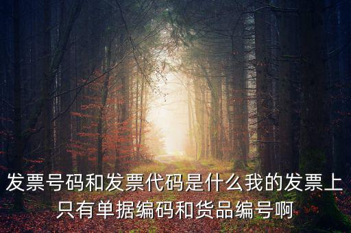 發(fā)票代碼指什么地方，增值稅普通發(fā)票的12位發(fā)票代碼在什么位置