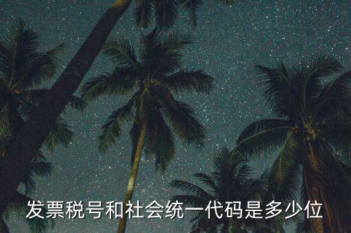 發(fā)票統(tǒng)一社會信用代碼是什么，現(xiàn)在開發(fā)票要的社會信用代碼是誰的代碼