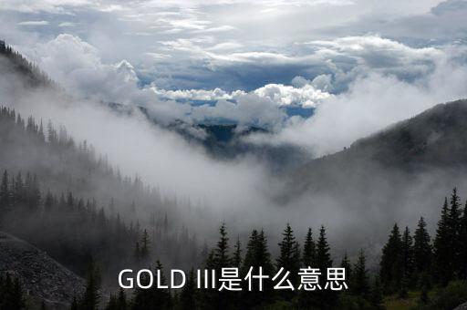 金三運(yùn)維事件指什么意思，運(yùn)維費(fèi)是指什么