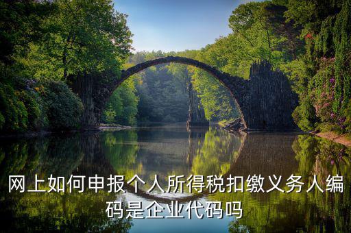 江西省個稅代扣系統(tǒng)的編碼是什么，網(wǎng)上如何申報個人所得稅扣繳義務(wù)人編碼是企業(yè)代碼嗎