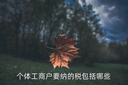 個體需要繳納什么稅，個體工商戶需要交哪些稅